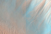 Gullies in Mojave Crater