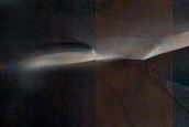 Dune Gullies in Crater