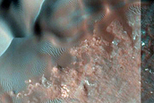 Dune Monitoring in Crater