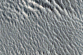 Survey of Terrain around Ice-Exposing Crater