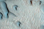 Dune Monitoring in Lyot Crater