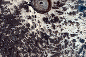 Exposed Crater Floor Materials in Western Arabia Terra