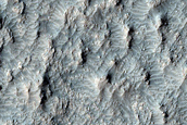 Mafic Minerals in Bedrock on Eastern Floor of Muller Crater