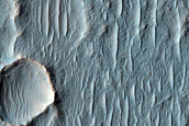 Spectrally Distinct Crater Floor in Terra Sirenum