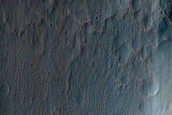 Gullies in Crater in Terra Sirenum