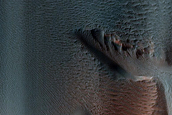 Dune Gullies in Rabe Crater