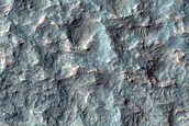 Surface Diversity in Basin