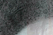 Thickly Frosted Polar Gullies
