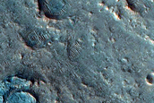 Young Ejecta from Beruri Crater with Possible Clays