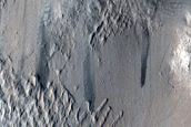 Nicholson Crater Rim
