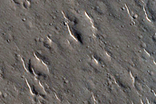 Isidis Planitia