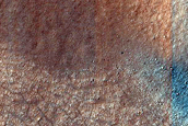 Dune Survey