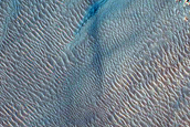 Gully Monitoring
