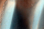 USGS Dune Database Entry Number 2148-561