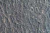 Flood Lavas in Cerberus Palus