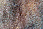 Dune Survey