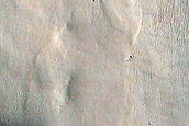 Candidate Recent Impact Site