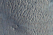 Candidate Recent Impact Site