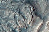 Dune Survey
