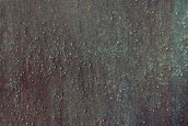 USGS Dune Database Entry Number 1412-654