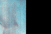 Dune Monitoring in Crater