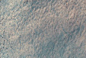 Dune Survey