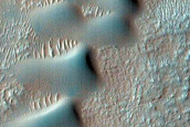 Dune Survey