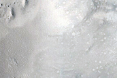 Frost Survey in Steep and Fresh-Looking Crater