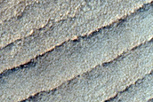 Dark Linear Ridges in Southern Highlands