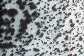 Possible Mass Wasting in Southern Crater
