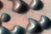 Monitor USGS Dune Database Entry Number 2579-573