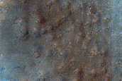 Dune with Seasonally-Persistent Light-Toned Features