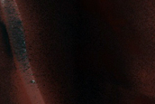 Defrosting Processes in Crater