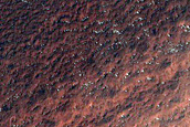 Seasonal Streaks on South Polar Layered Deposits