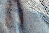 Gully Monitoring