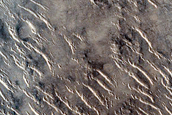Isidis Planitia