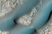 Dune Survey