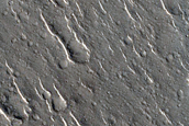 Isidis Planitia