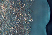 Dune Survey