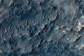 Dune Survey