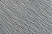 Candidate Recent Impact Site