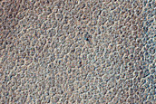 Terrain Sample
