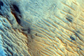 Dune Field