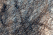 Observing Shadowed Spot South of Argyre Basin