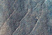 Terrain Sample