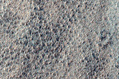 Terrain Sample