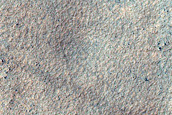 Terrain Sample