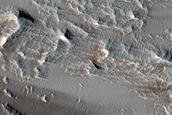 Daedalia Planum Albedo Variations