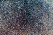 Possible Spiders and Dune Field