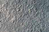 Possible Gully-Associated Light-Toned Materials in Nereidum Montes